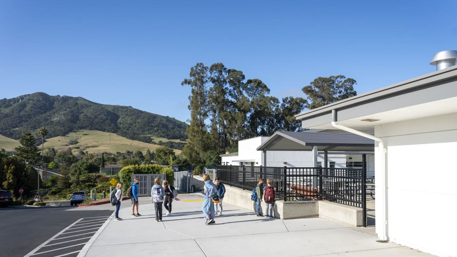 Vimeo Thumbnail Video